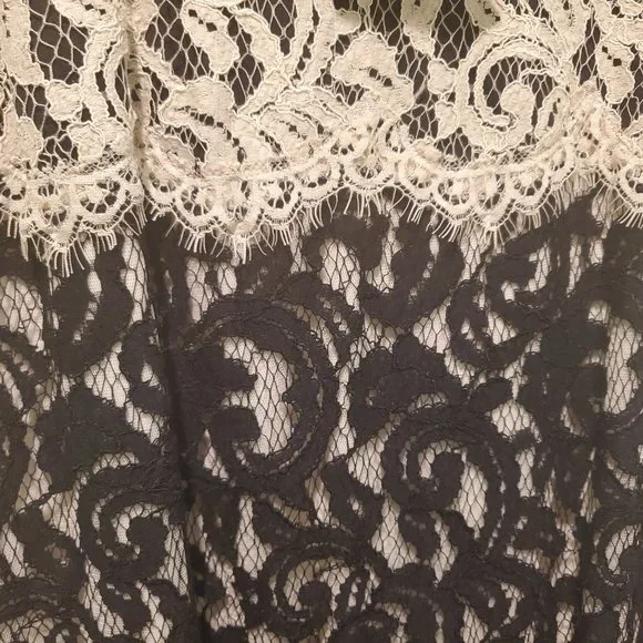 Elegant Tadashi Shoji Formal Illusion Lace Two-Tone Cream Black Gown W/ … - Picture 4 of 13